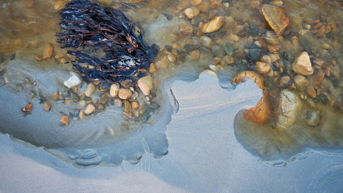 « Deviens ce que tu es » – Nietzsche