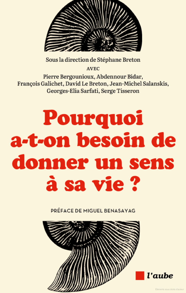 Couverture du livre collectif "Pourquoi a-t-on besoin de donner un sens à sa vie ?", montrant un labyrinthe stylisé avec une silhouette humaine au centre.